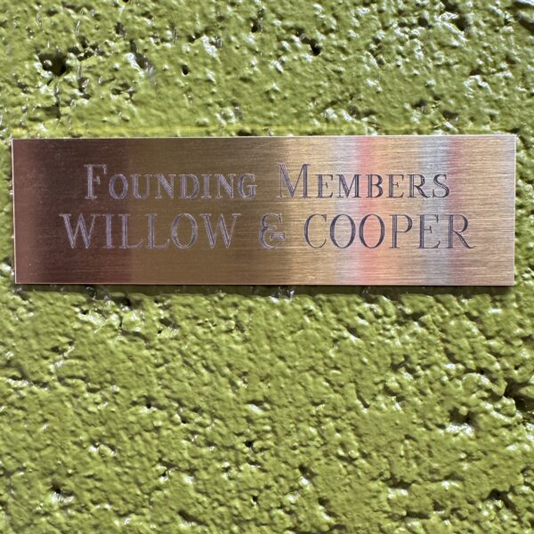 Plaque